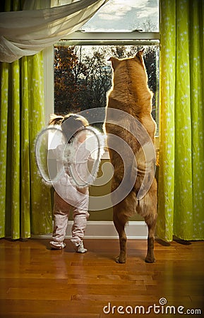 Toddler and dog looking out the window