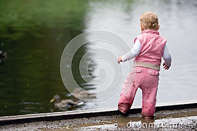 Toddler beside duck pond