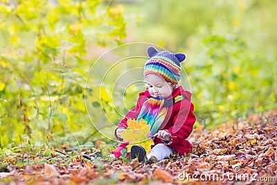 Toddler girl in a red coat playing with red leaves