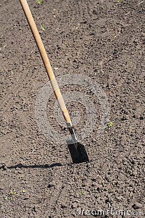 Toil work of ground. spade insert soil