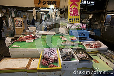 Tokyo s Tsukiji Seafood Fish Market