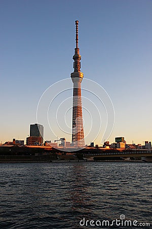 Tokyo Sky Tree at sunset