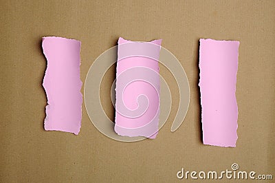 Torn Pink Paper Scraps