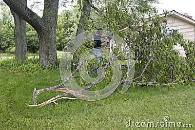 Tornado Wind Storm Damage Man Chainsaw Downed Tree