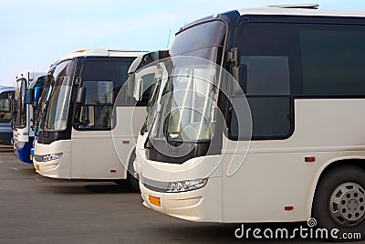 Tourist buses on parking
