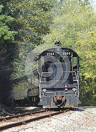 Tourist Train