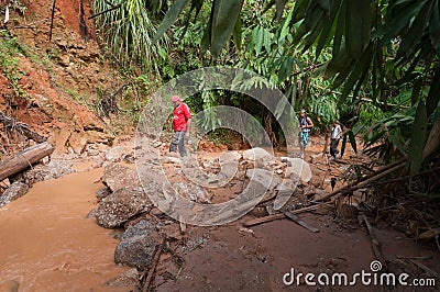 Tourists with guide walk in jungle