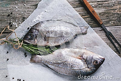 Tow raw dorado fish with rosemary