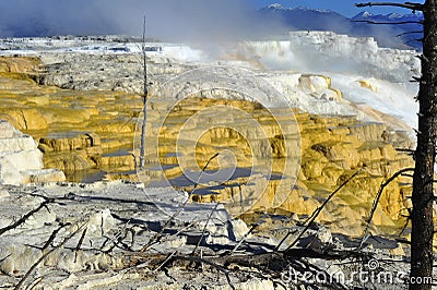 Toxic sulphur steps, volcanic activity, yellowstone nat park