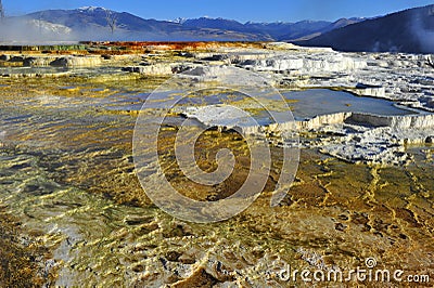 Toxic sulphur steps, volcanic activity, yellowstone nat park