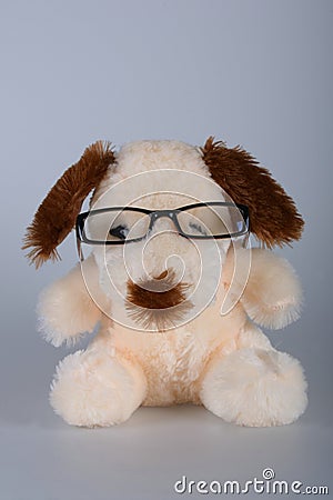Toy dog ​​wearing glasses
