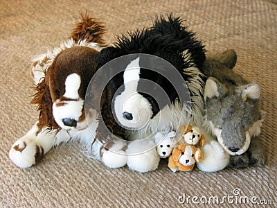 Toy dogs family