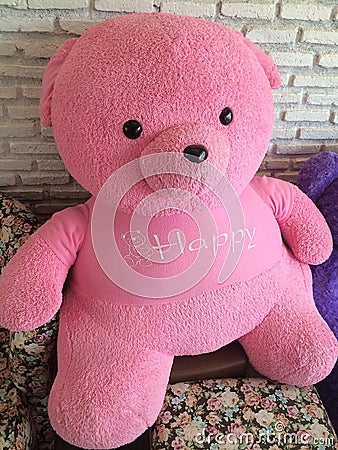 Toy pink teddy bear