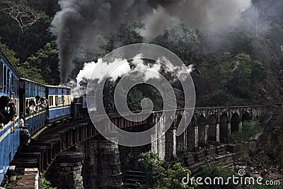 Toy train in Nilgiri mountains