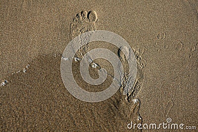 Traces of feet in the sand on the beach