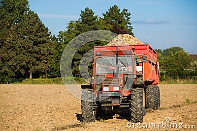 Tractor with a dump full of potatoes