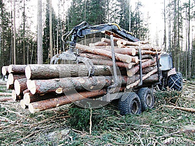 Tractor with full trailer of wood