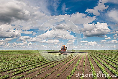 Tractor spraying a crop field