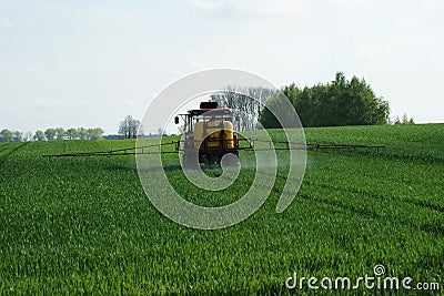 Tractor spraying wheat v3