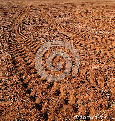 Tractor Tracks