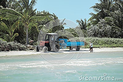 Tractor and trailer remove the seaweeds from the beach