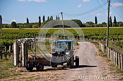 Tractor on Vineyard