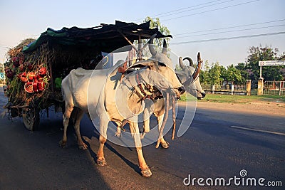 Traditional carriage drawn