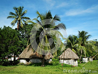 Traditional houses of Navala village, Viti Levu, Fiji
