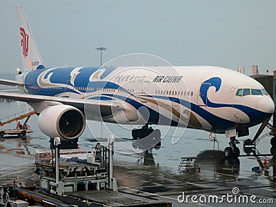 Tradititional Chinese Airplane painted artistically