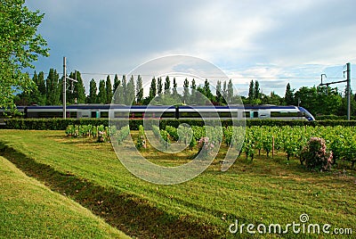 Train in Motion through Green scenery, France