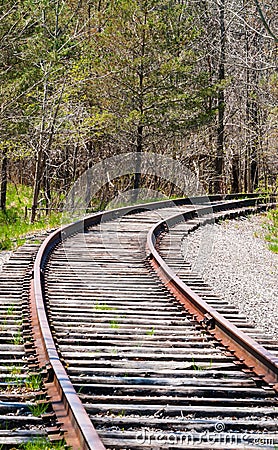 Train tracks curving right into trees.