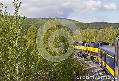 Train traveling through forest