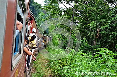 Train traveling through the jungle, in Srí Lanka