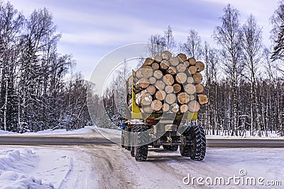 Transportation of logs on truck on forest road in winter