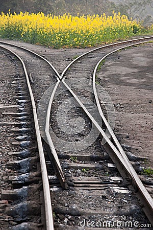 Traveling in Leshan City, Sichuan Qianwei Kayo Fork Road train tracks