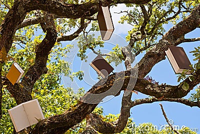 Tree of Books and Knowledge