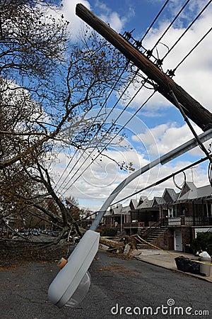 Trees and electric poles felt down to the ground