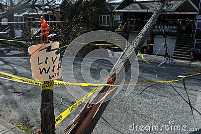 Trees and electric poles felt down to the ground