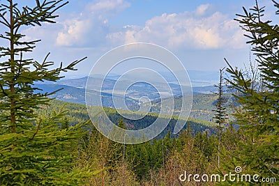 Trees, Spring landscape around Hartmanic, ski resort, Bohemian Forest (Šumava), Czech Republic