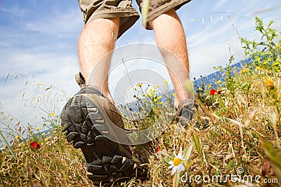 Trekking shoes