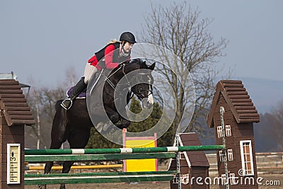 Black horse jumps