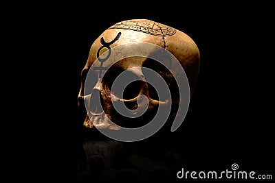 Tribal Skull