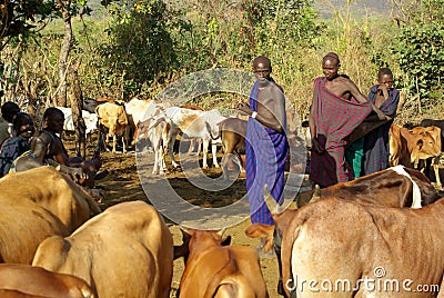 Tribes of the Omo valley in Ethiopia