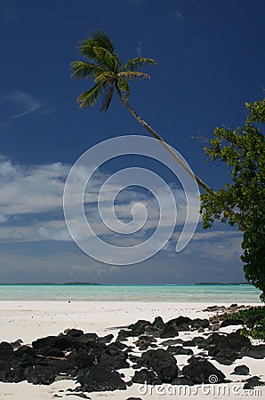 Tropical beach Cook Islands