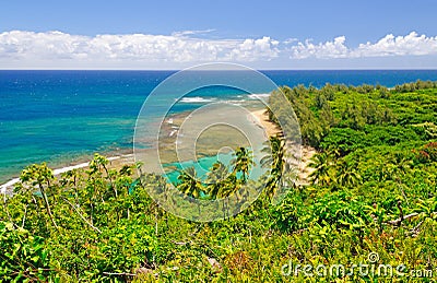 Tropical Beach and Lagoon in Hawaii