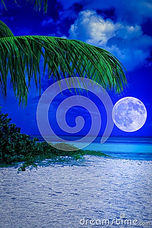 Tropical beach at night with a full moon