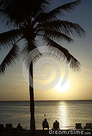 Tropical beach and palm tree