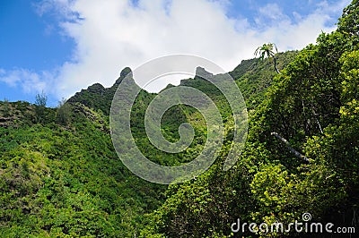 Tropical cliffs in Hawaii