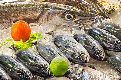 Tropical Fish on Ice at the Market - Thailand