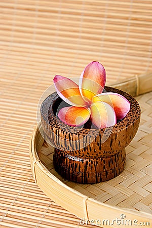 Tropical Frangipani for spa and wellness